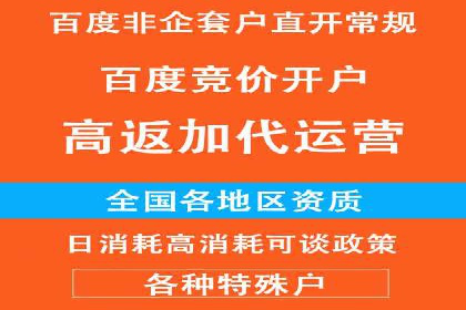 百度推广实战：成功案例解析